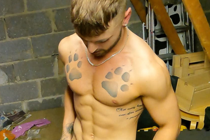 IN THE HIDDEN ATTIC NO ONE CAN HEAR YOU SCREAM